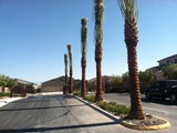 15' dates HOA install