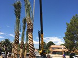 dates custom home paradise