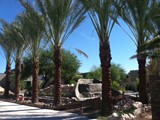 dates custom home paradise open