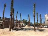 Vegas Tower Job