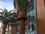 summerland mall